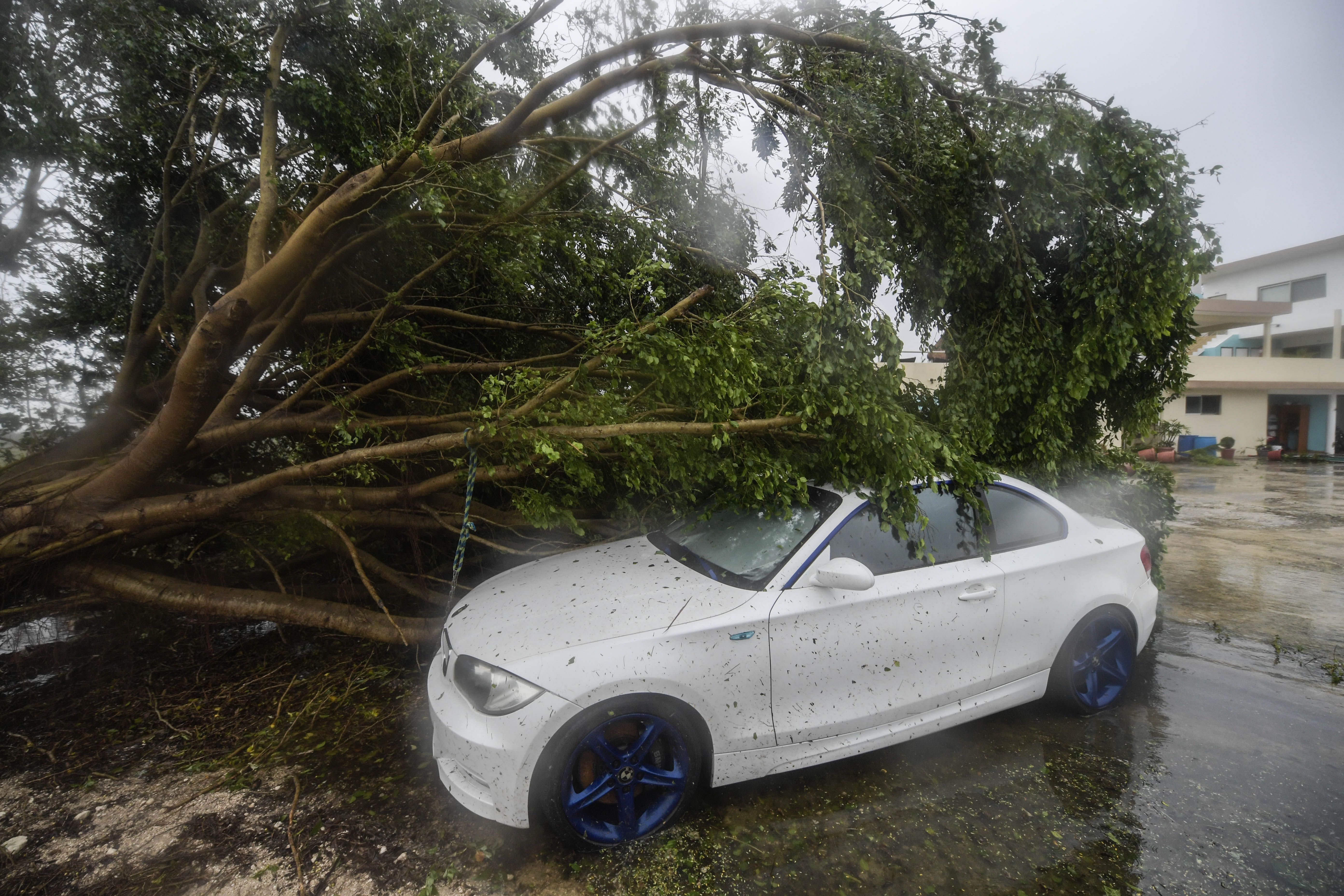  A car is covered under a fallen tree after the passage of Hurricane Delta, in Cancun, Quintana Roo state, Mexico, on October 7
