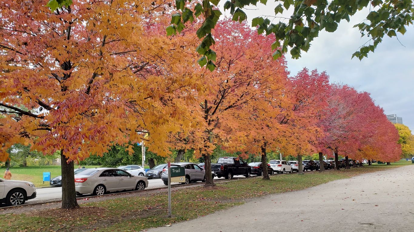 Best Places To See Fall Colors In Chicago - Axios Chicago