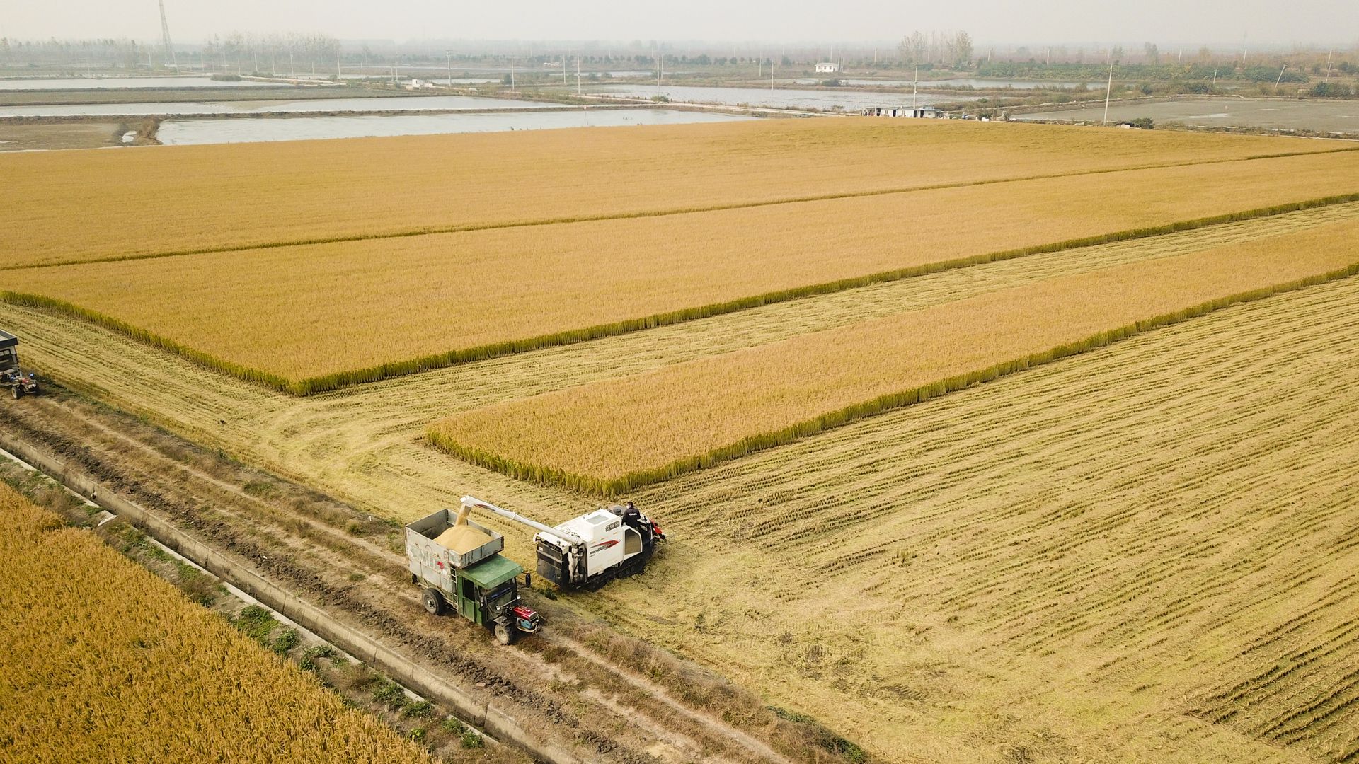A tractor going down a farm.