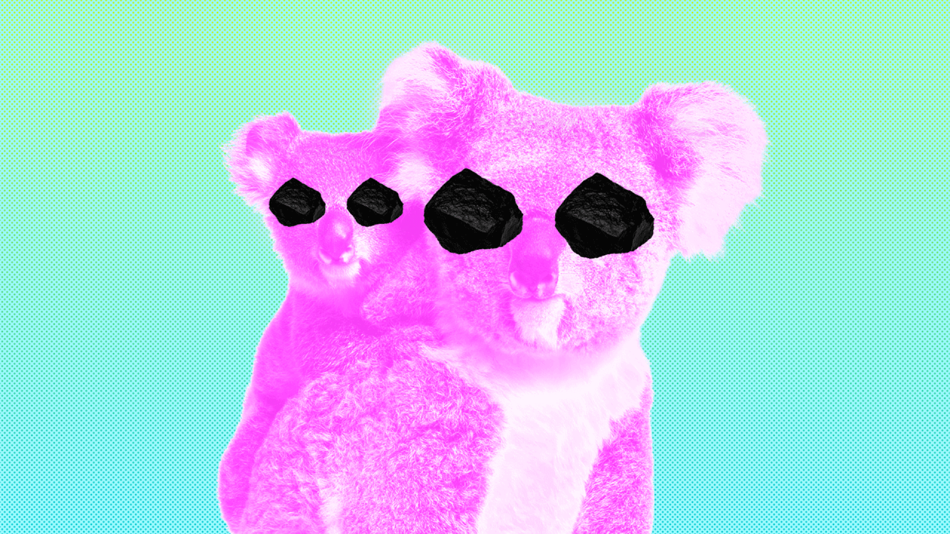illustration of neon koalas with spinning lumps of coal for eyes
