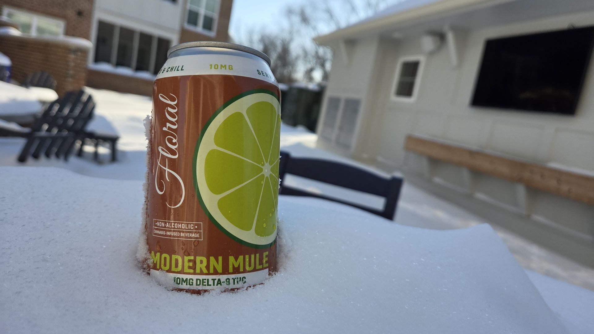 Brown can labeled "Floral Modern Mule" with a green lime slice graphic, partially buried in snow outside near chairs and buildings in a snowy yard.