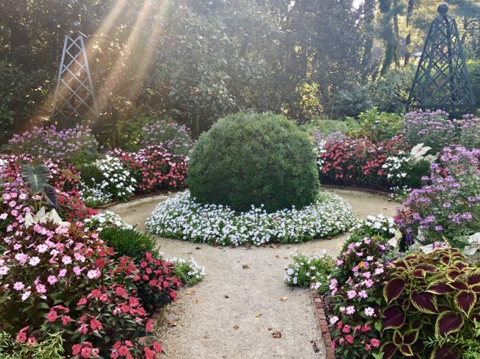 5 local gardens to see flowers in Charlotte Axios Charlotte