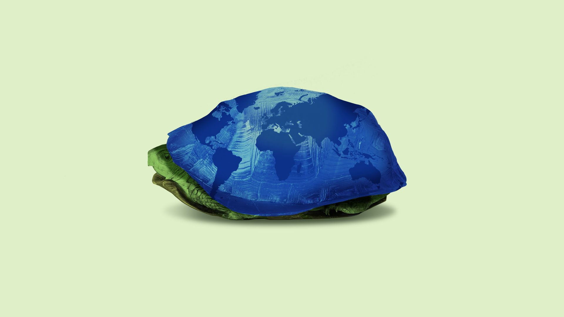 Illustration of a turtle with a globe design hiding in its shell