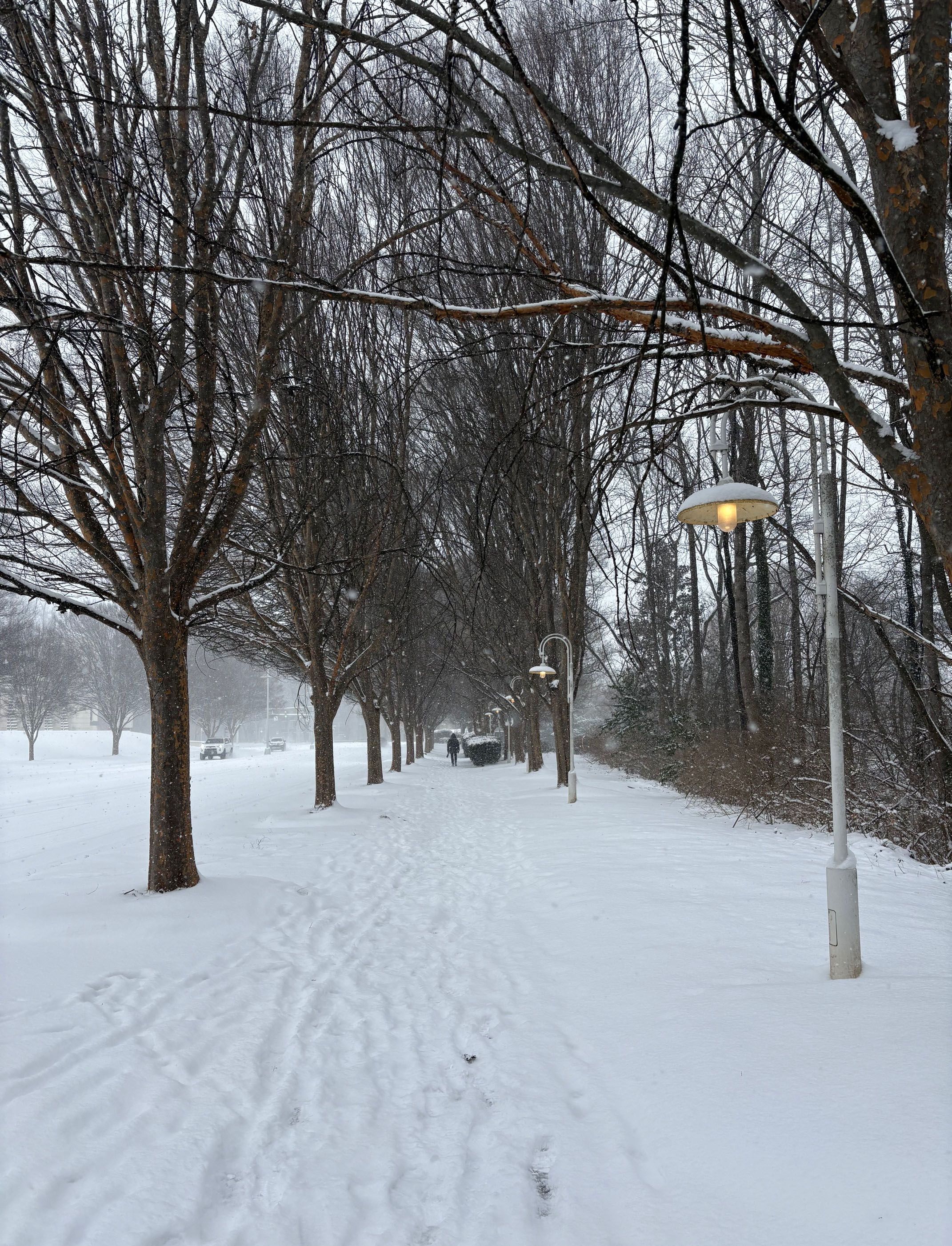 Snow-covered walkway lined with bare trees and street lamps with glowing lights, a person in dark clothing walking in the distance, and cars on a snowy road to the left.
