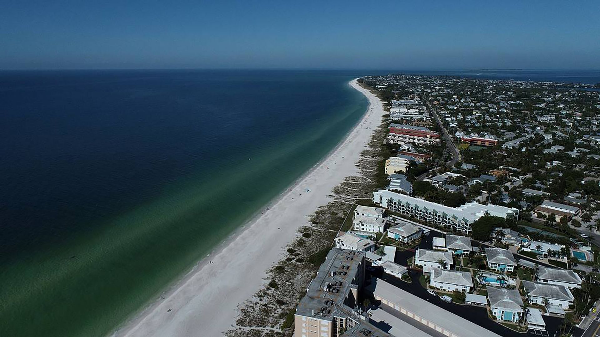 Red tide on the beach