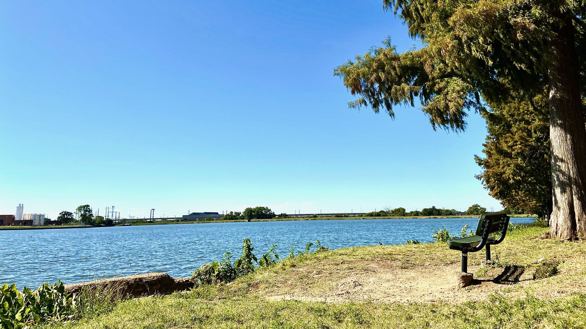 A bench overlooking a placid lake.