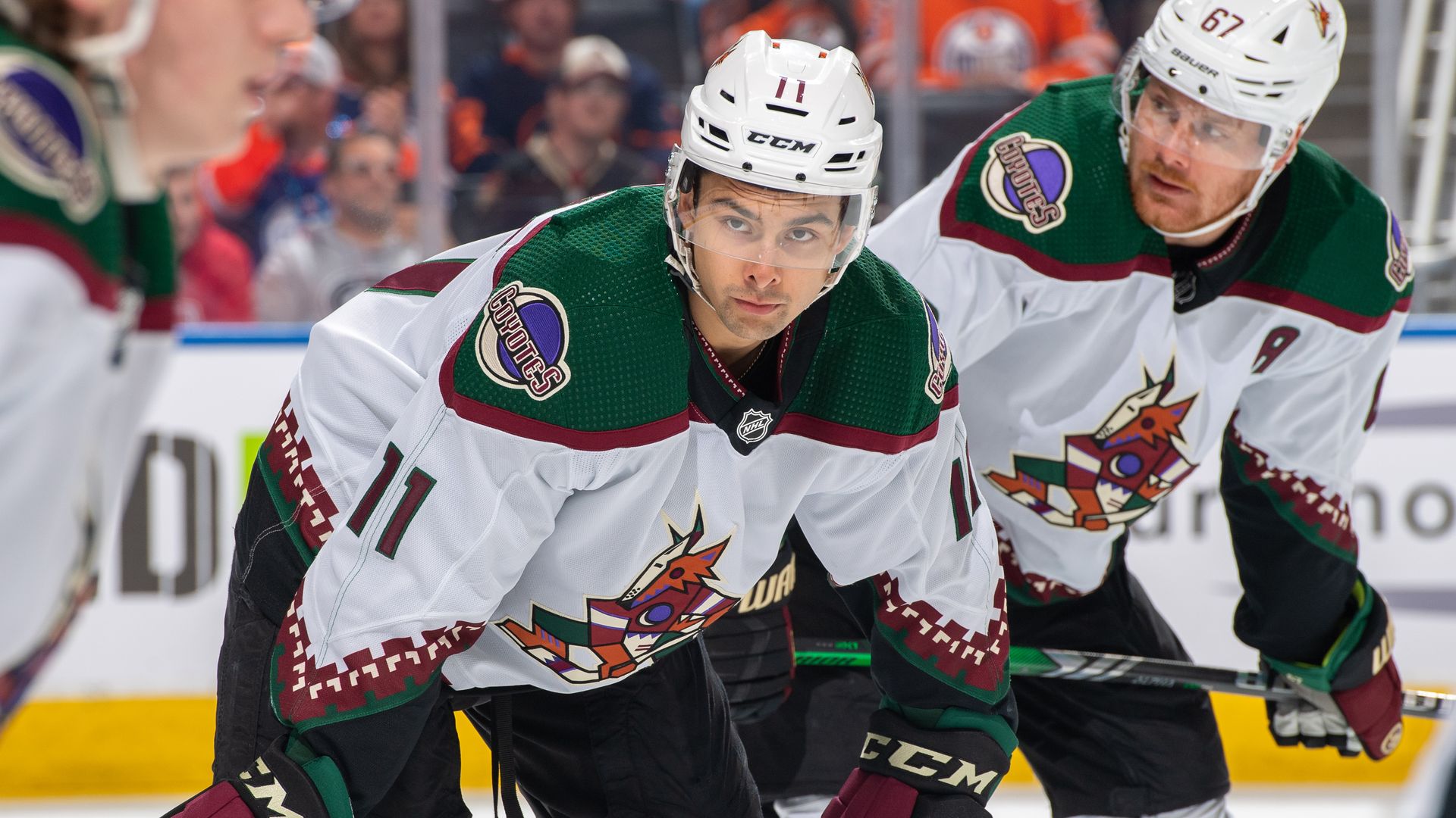 Dylan Guenther #11 of the Arizona Coyotes lines up for a face-off during the game against the Edmonton Oilers at Rogers Place on April 12, 2024, in Edmonton, Alberta, Canada.