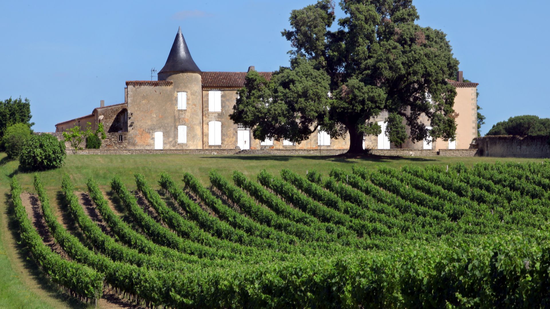 vineyard and manor at a winery in France