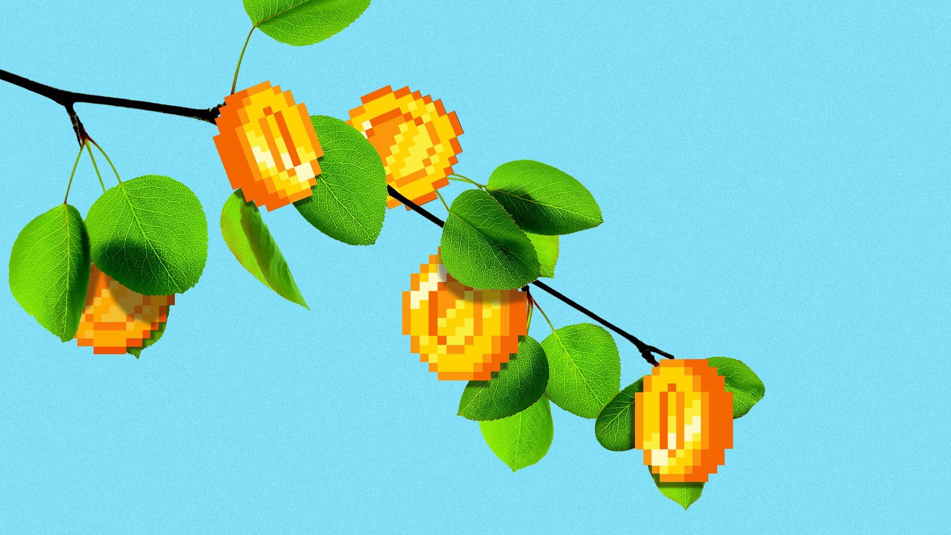 Illustration of a tree branch with pixelated crypto coins as fruit