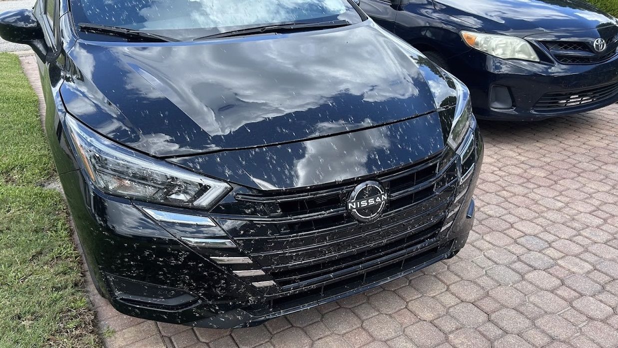 A black Nissan Versa parked in a driveway, covered in splatter marks from lovebugs.
