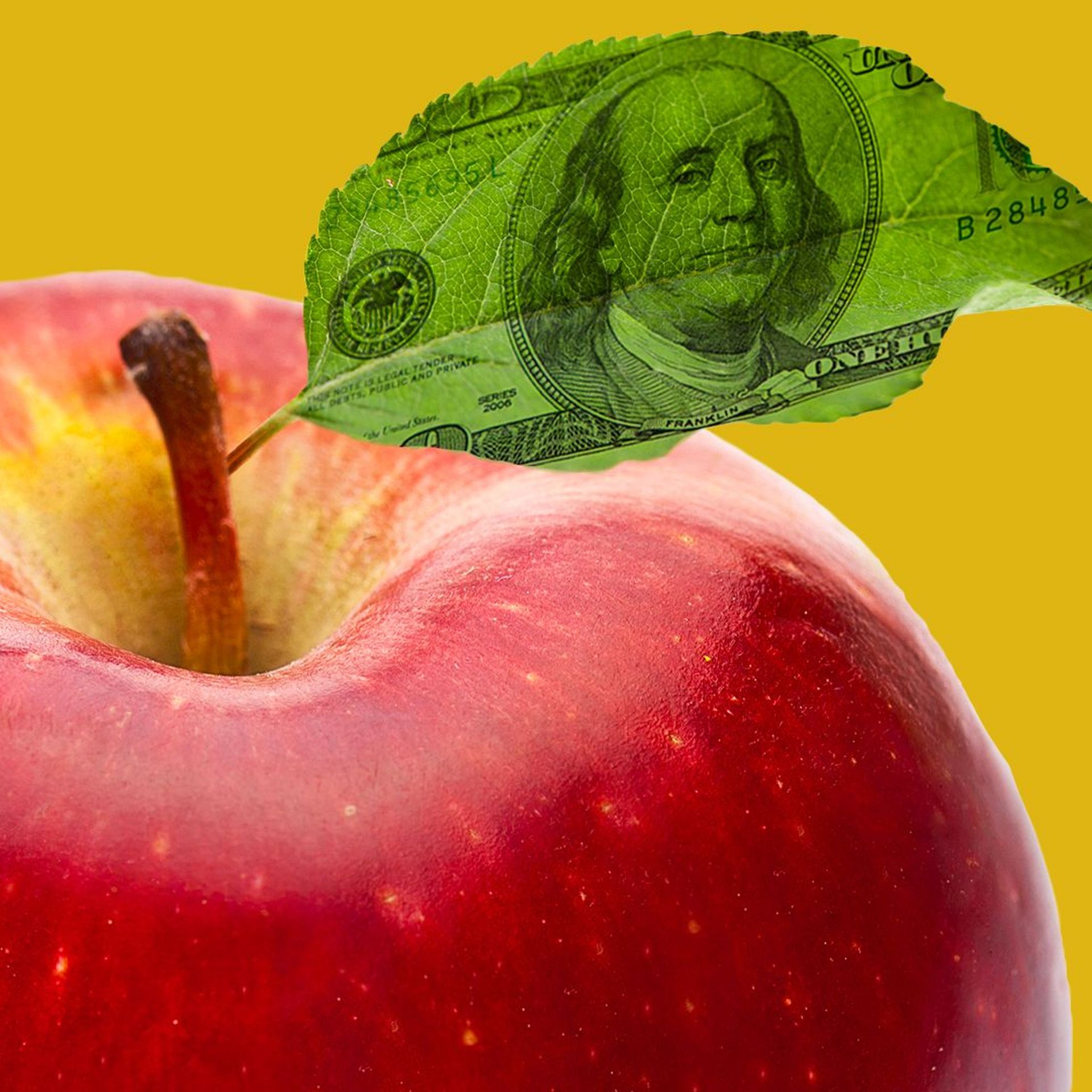 Illustration of a red apple with a hundred dollar bill for a leaf. 