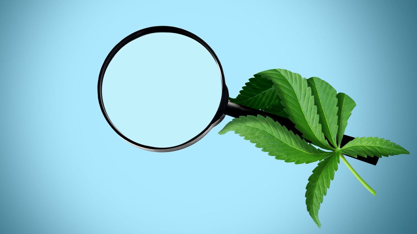Pennsylvania Lawmakers Debate Competing Cannabis Legalization Proposals