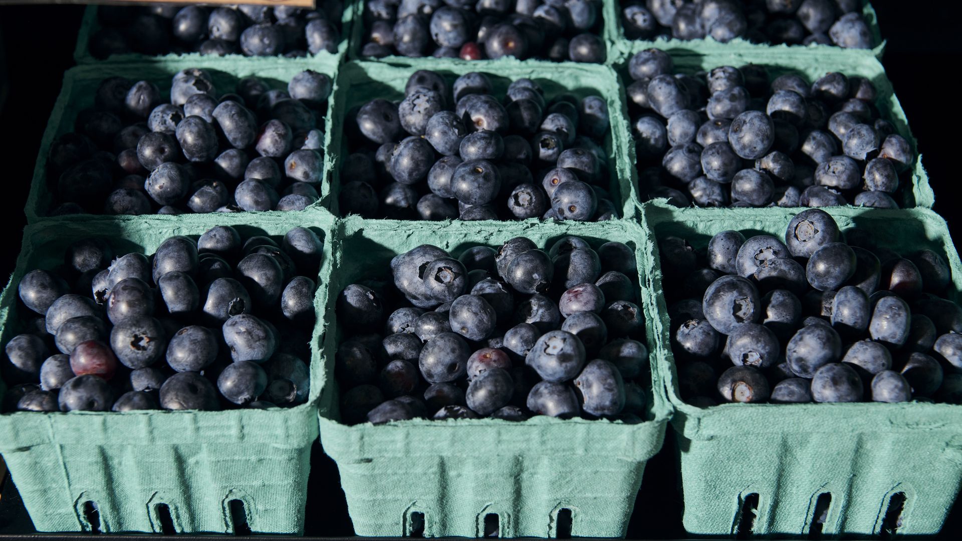 Close-up of nine green containers filled with fresh blueberries at a market, with a handwritten sign reading "BLUEBERRIES" visible at the bottom.