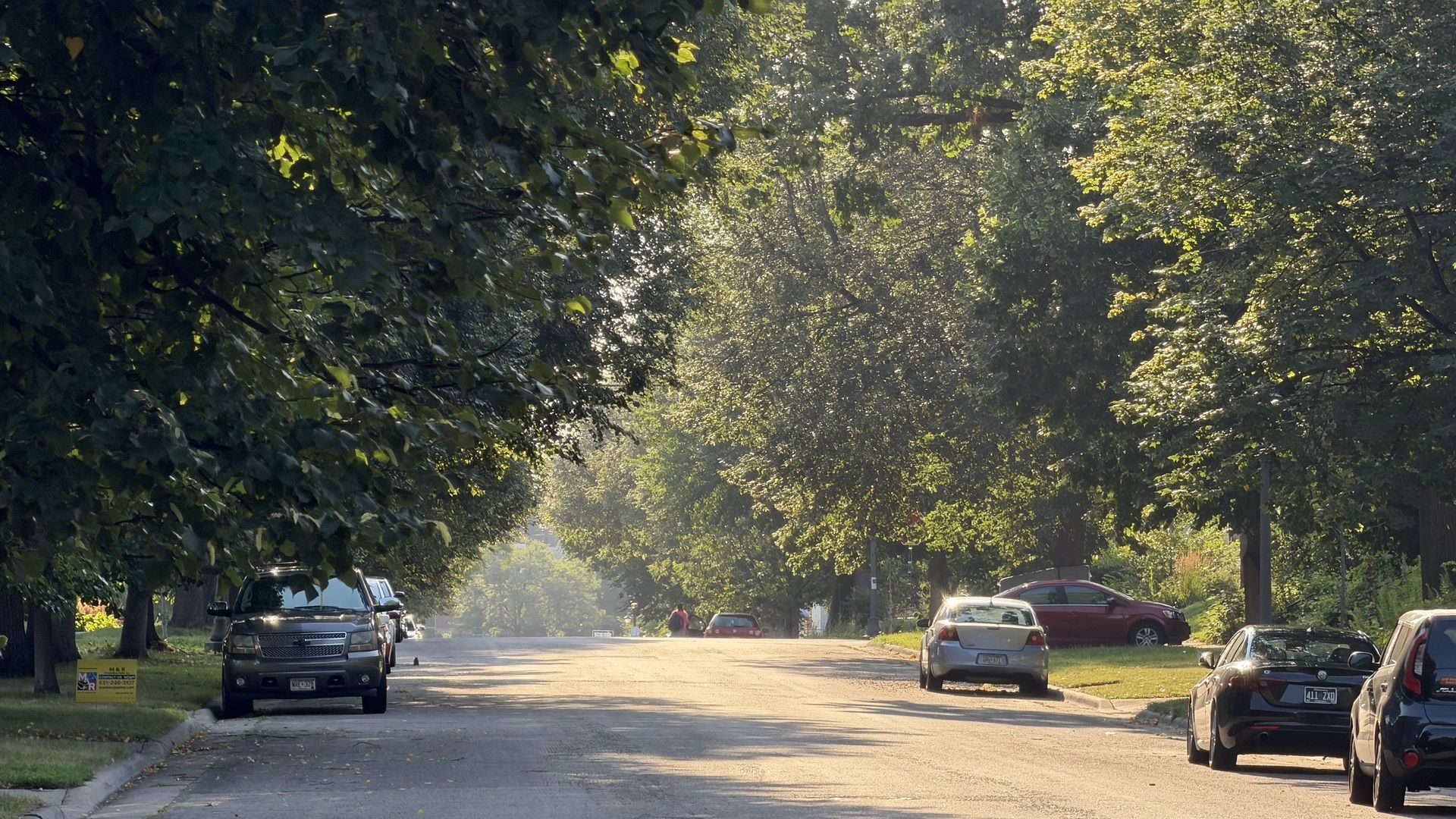 Sunlit, tree-lined suburban street with cars parked along both sides; dense green leaves overhead and a yellow sign on the left curb.