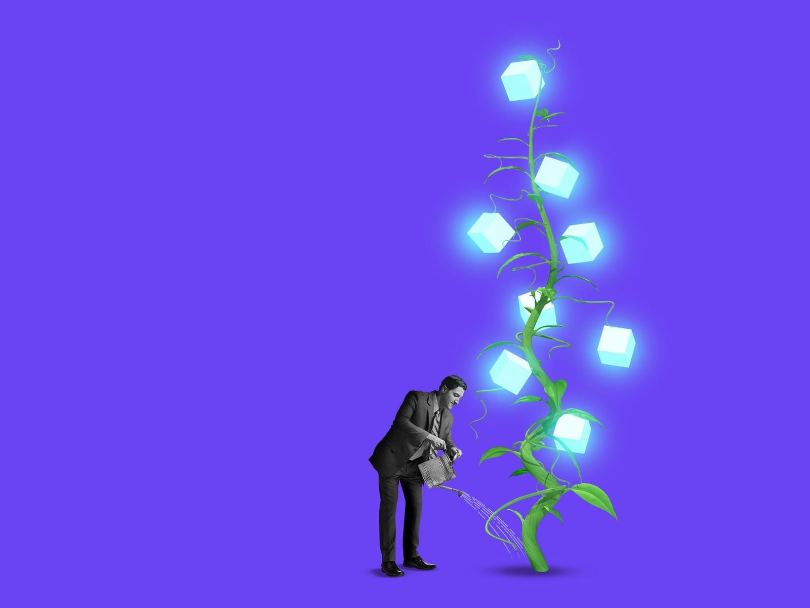 Why crypto companies are rushing for bank charters