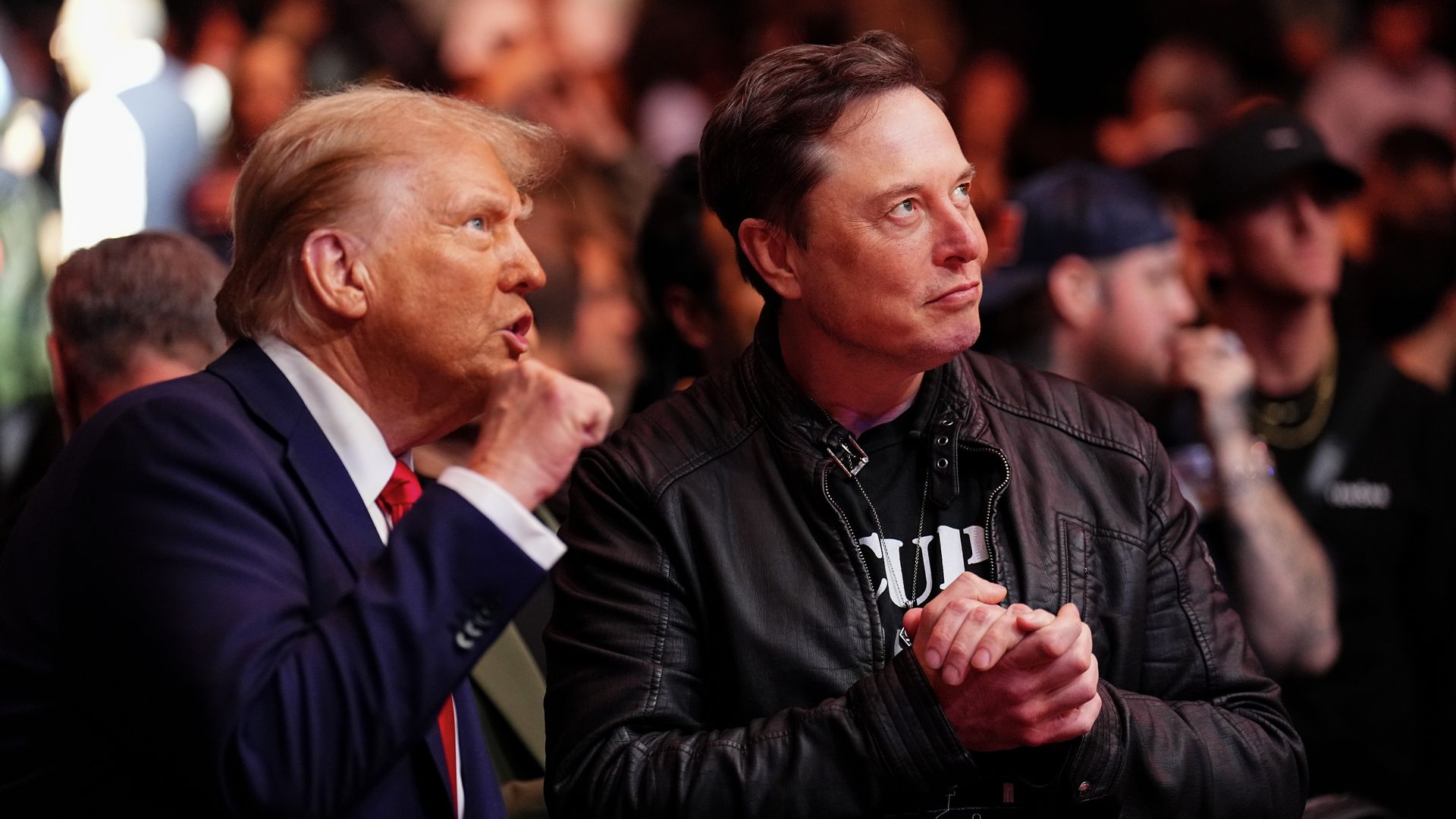 Trump and Musk spectate a UFC fight