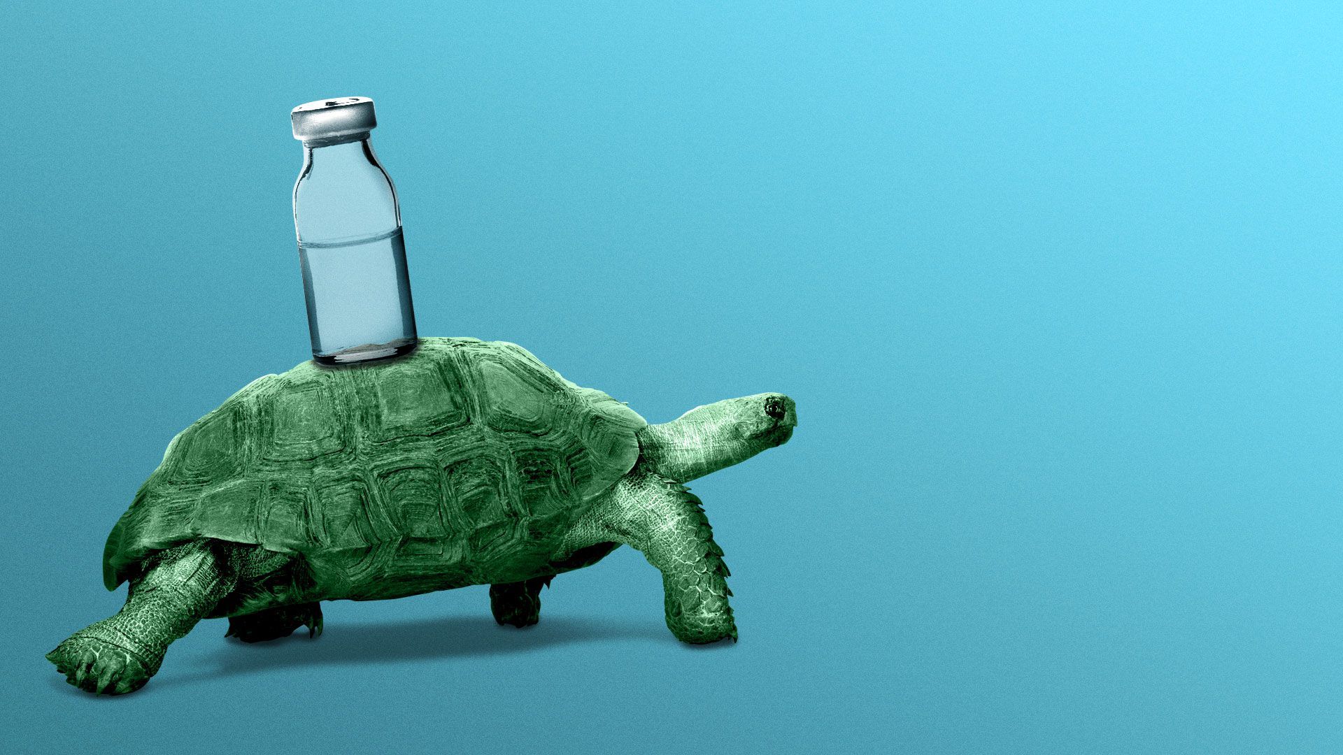 Illustration of a turtle carrying a vial of liquid