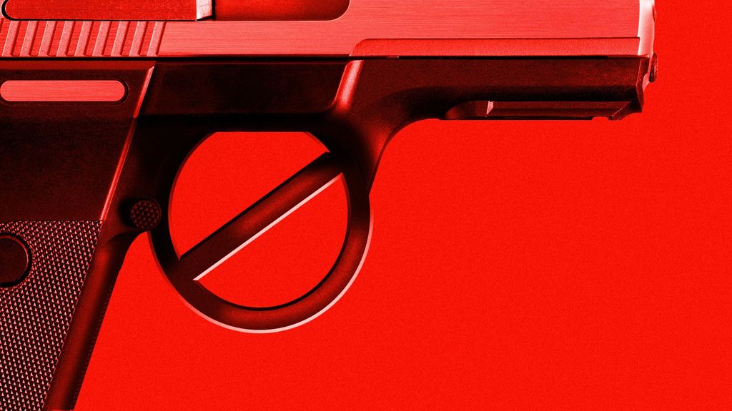 What makes "red flag" gun laws work