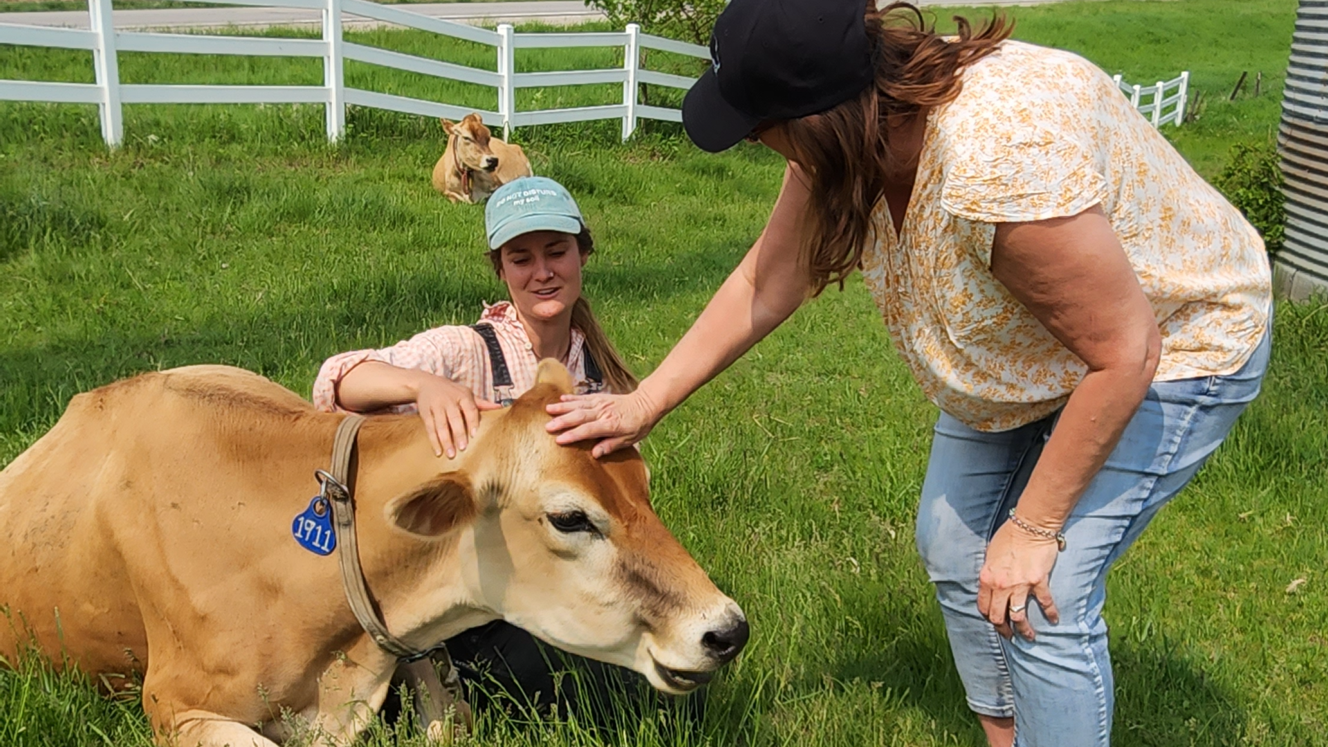 A photo of Sara Broers petting a cow.