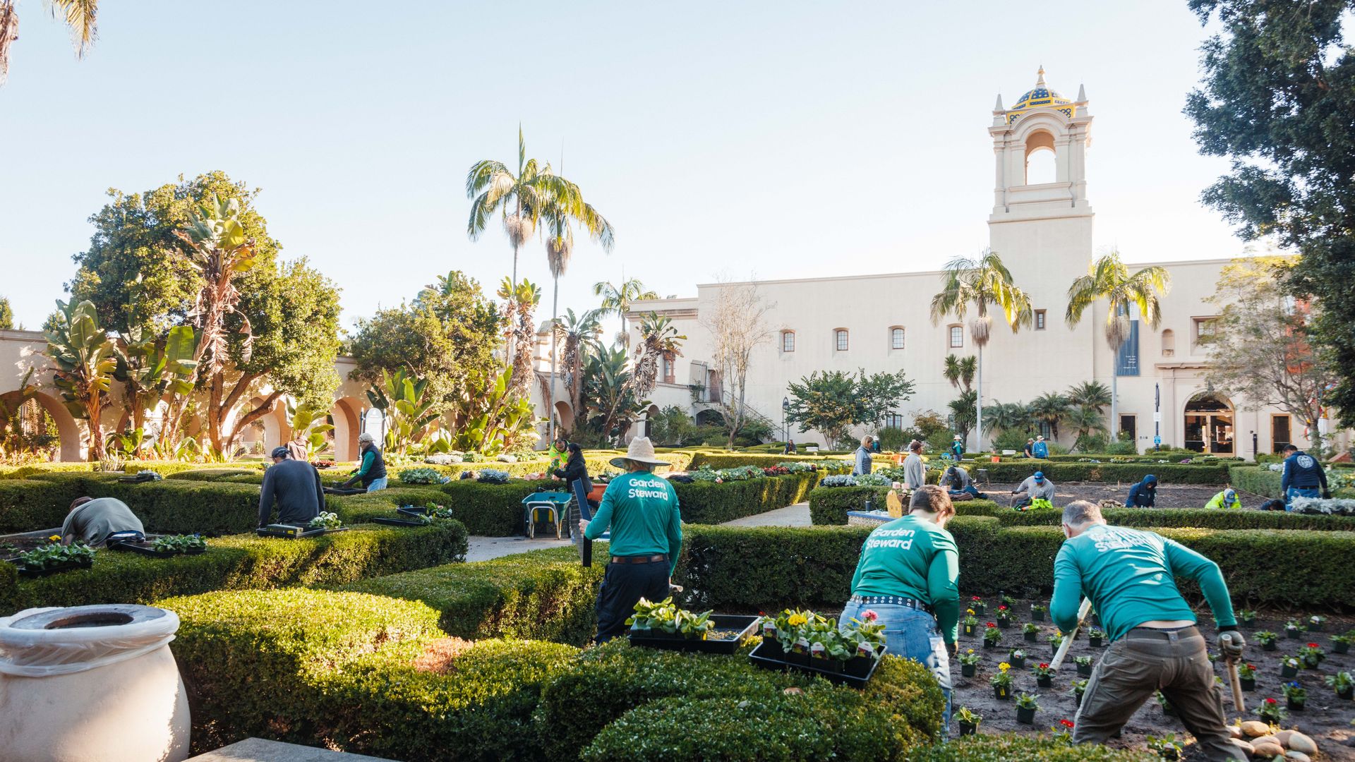 Volunteers in green "Garden Steward" shirts planting flowers in a sunlit garden with trimmed hedges, palm trees, and a historic building with a tower in the background.