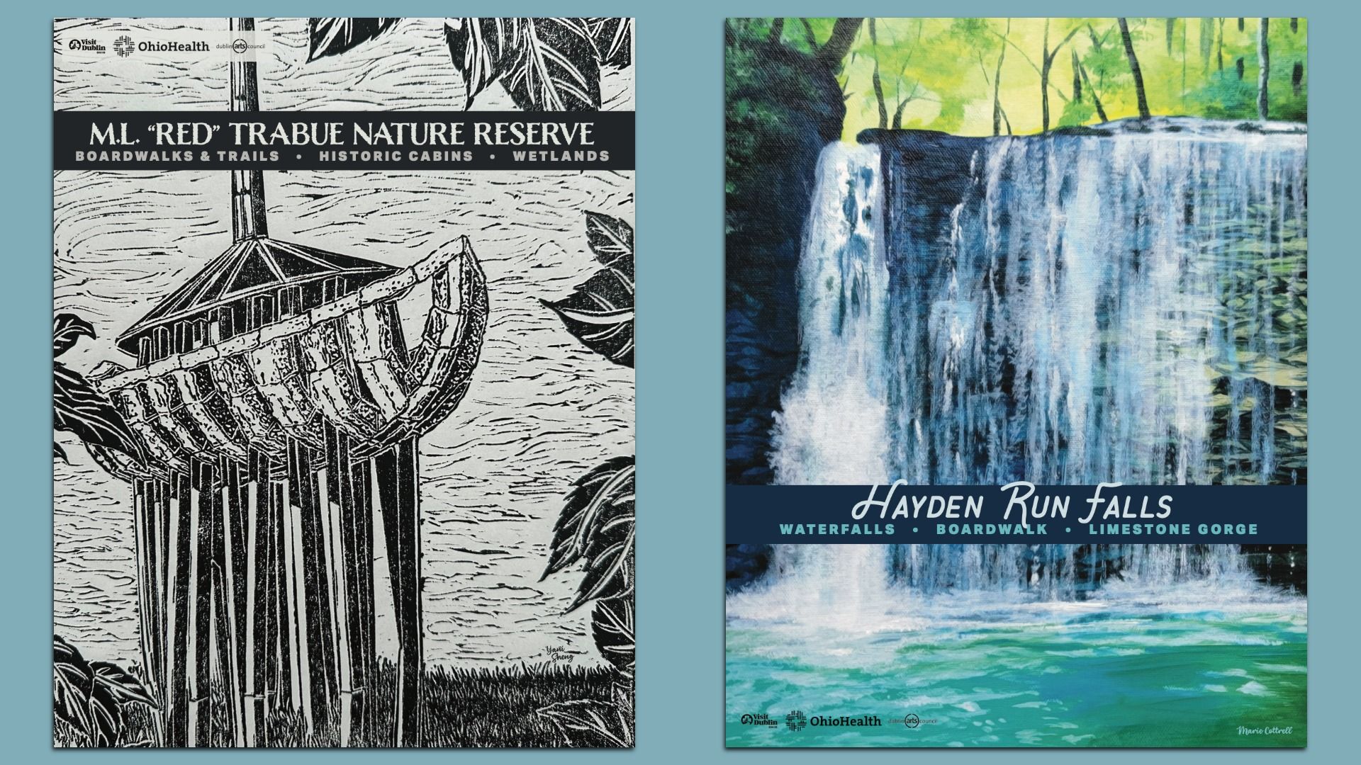 Two posters side by side: left is a black-and-white woodcut of a wooden boat with a Nature Reserve banner; right shows a colorful Hayden Run Falls waterfall with a blue banner listing features.
