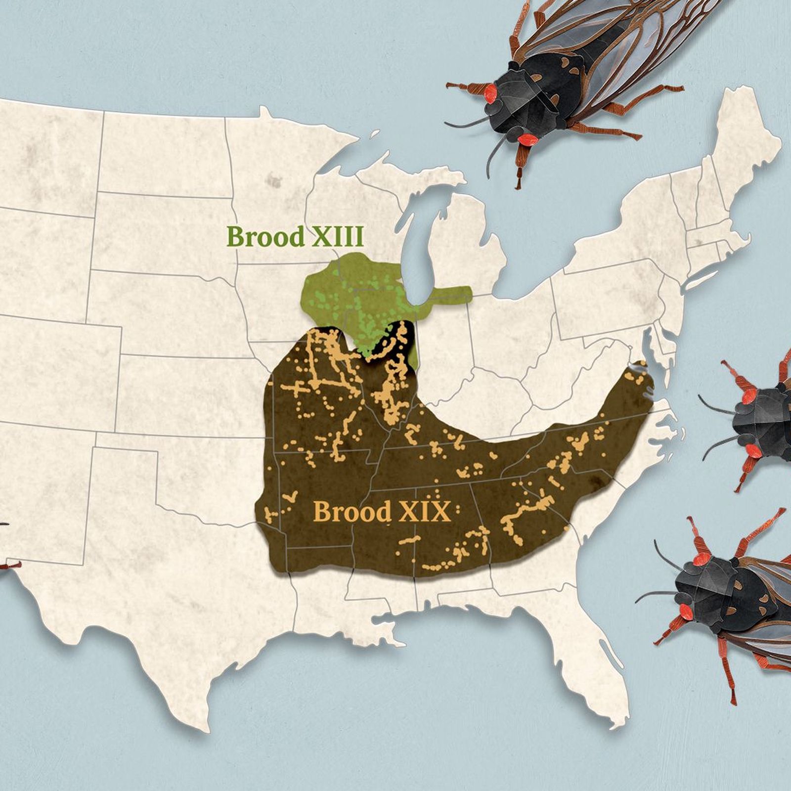 BUG「Land of Decadence」 JConcepts | #FinishlineFriday - Taking the checkered flag on the