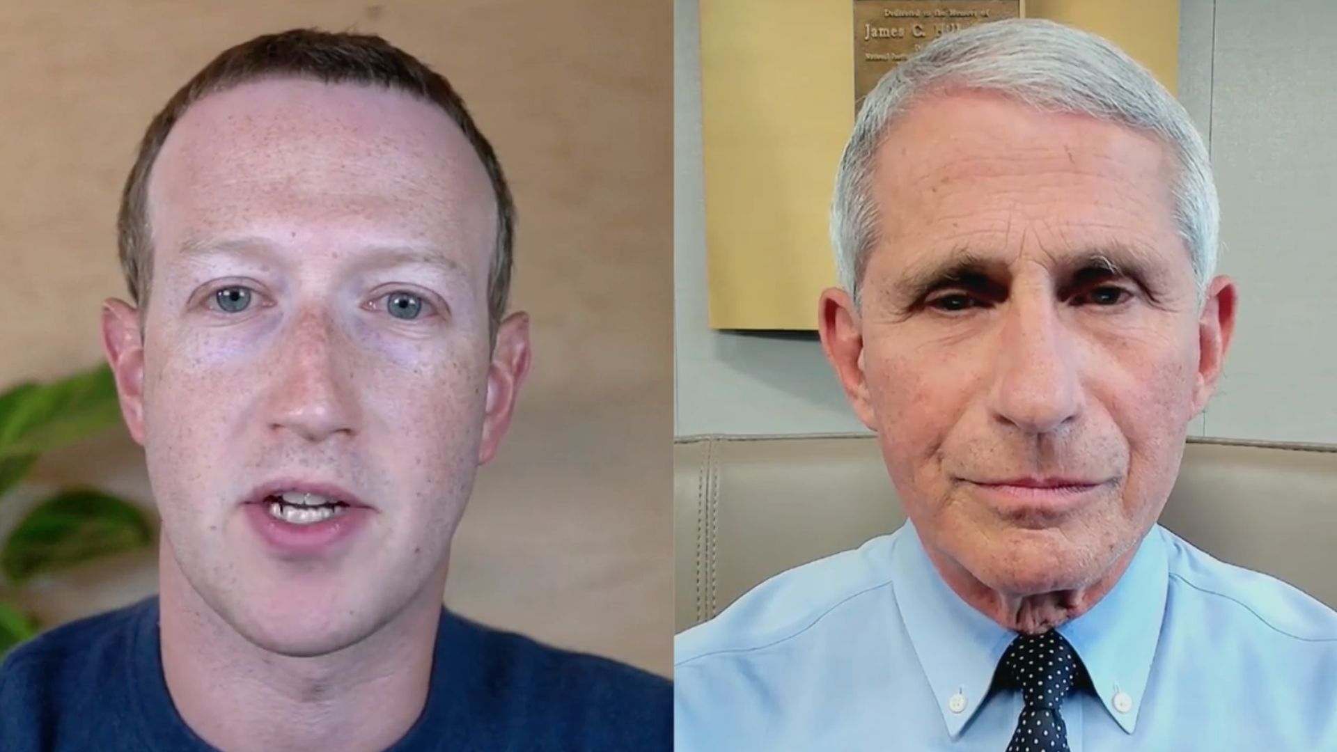 Fauci and Zuekerberg