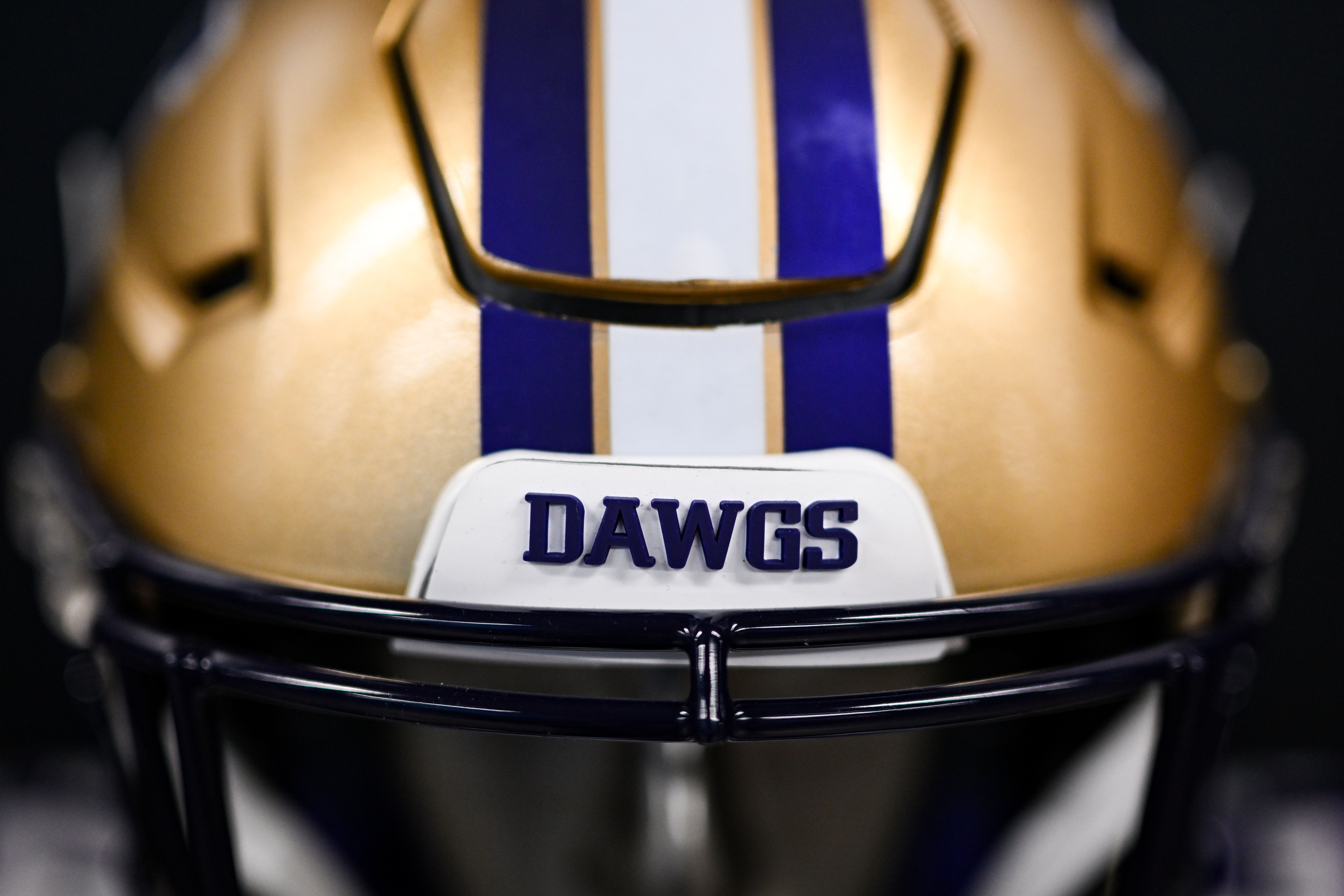 washington football helmet