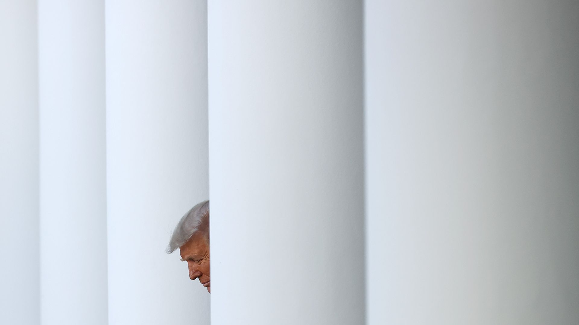 Photo of Trump
