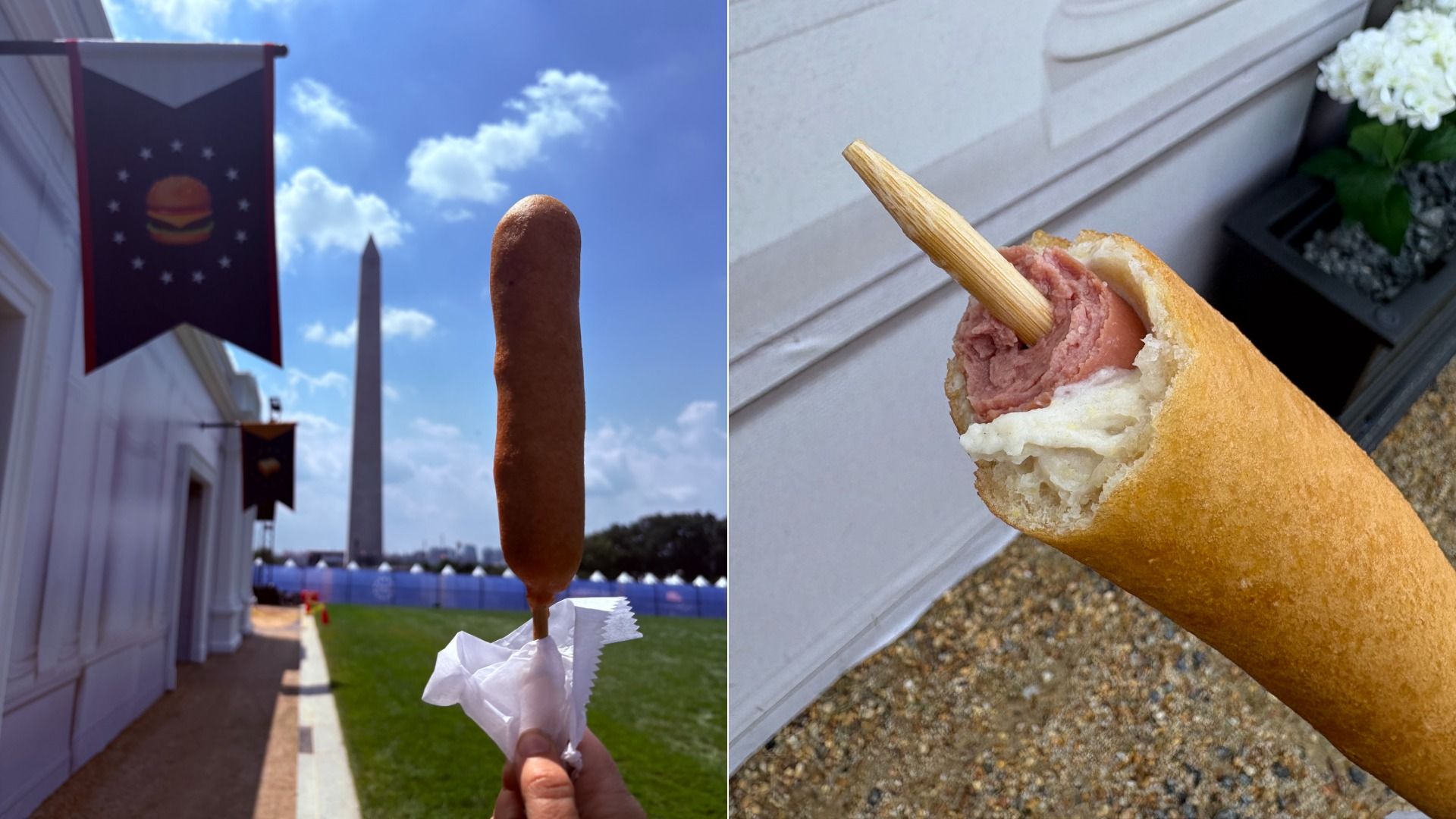 Two-panel image: left shows a corn dog on a stick held in front of a white building with the Washington Monument in a blue sky; right close-up of a hot dog in a crusty bun with a wooden stick.