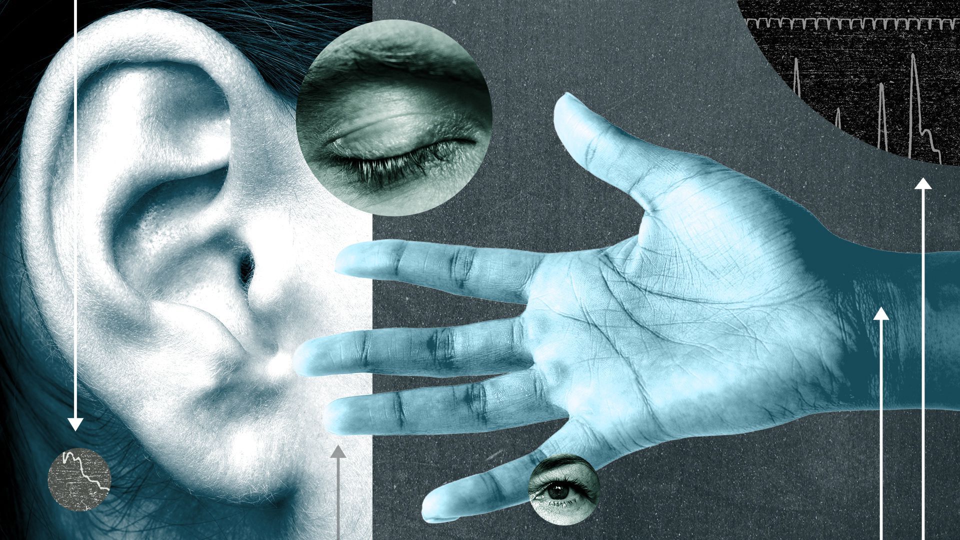  Illustrated collage of an outstretched hand, eyes, pulse rates and an ear.