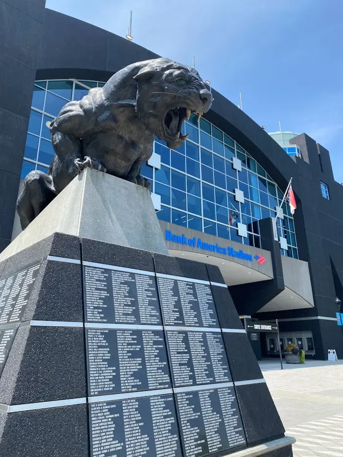 Bank of America Stadium, Panthers