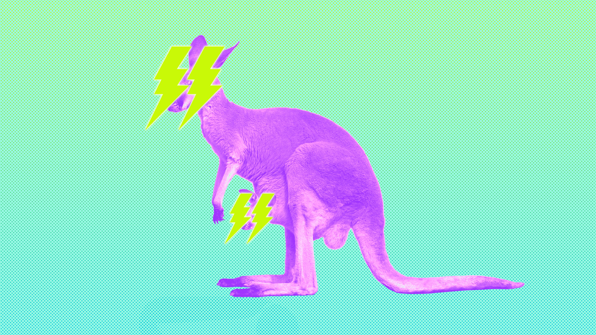 Animated GIF of kangaroos with lightning bolts for eyes