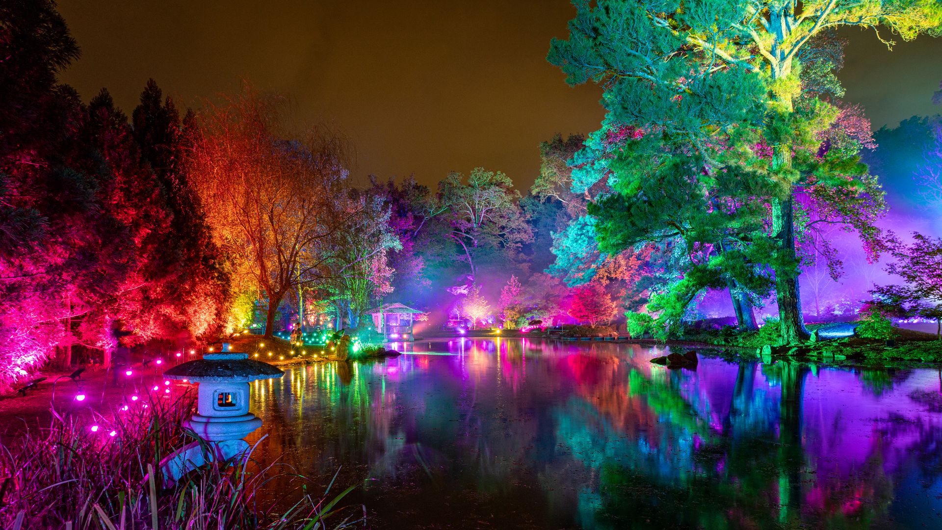 A garden all lit up in fun colors 