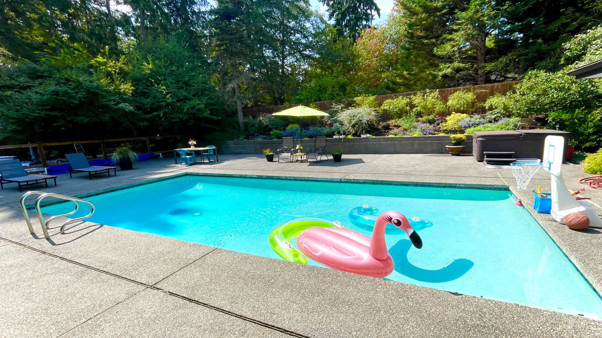 Backyard pool with a flamingo float