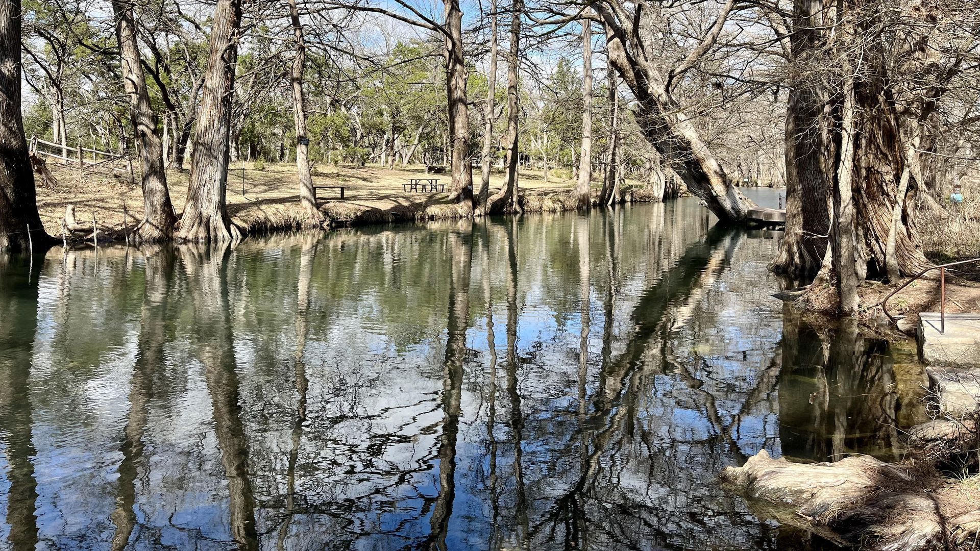 A photo of the water with trees around it.