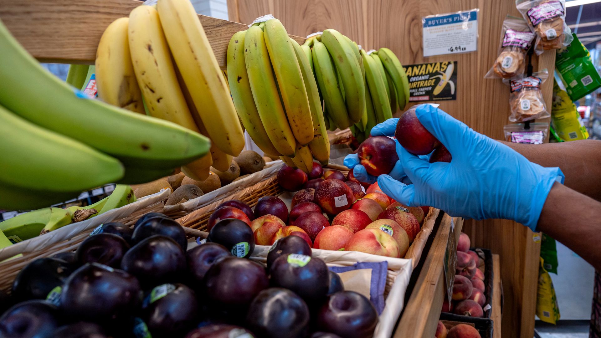 Person wearing blue gloves selecting red plums from a fruit display with bananas, dark purple plums, and nectarines in a wooden market stall.