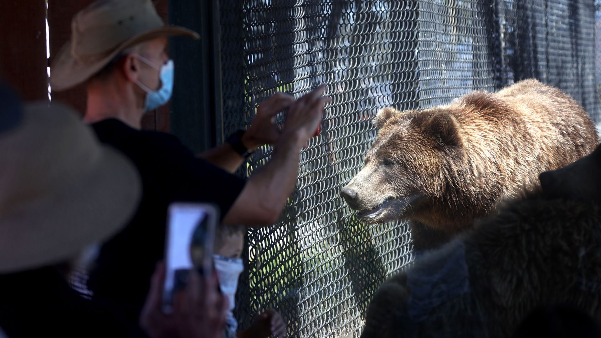 People take photos of grizzly bears in the Oakland Zoo on July 29.