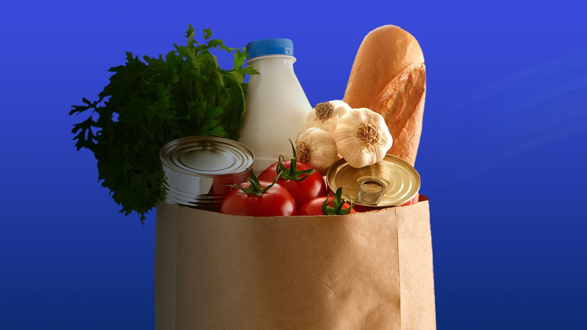 Illustration of a grocery bag
