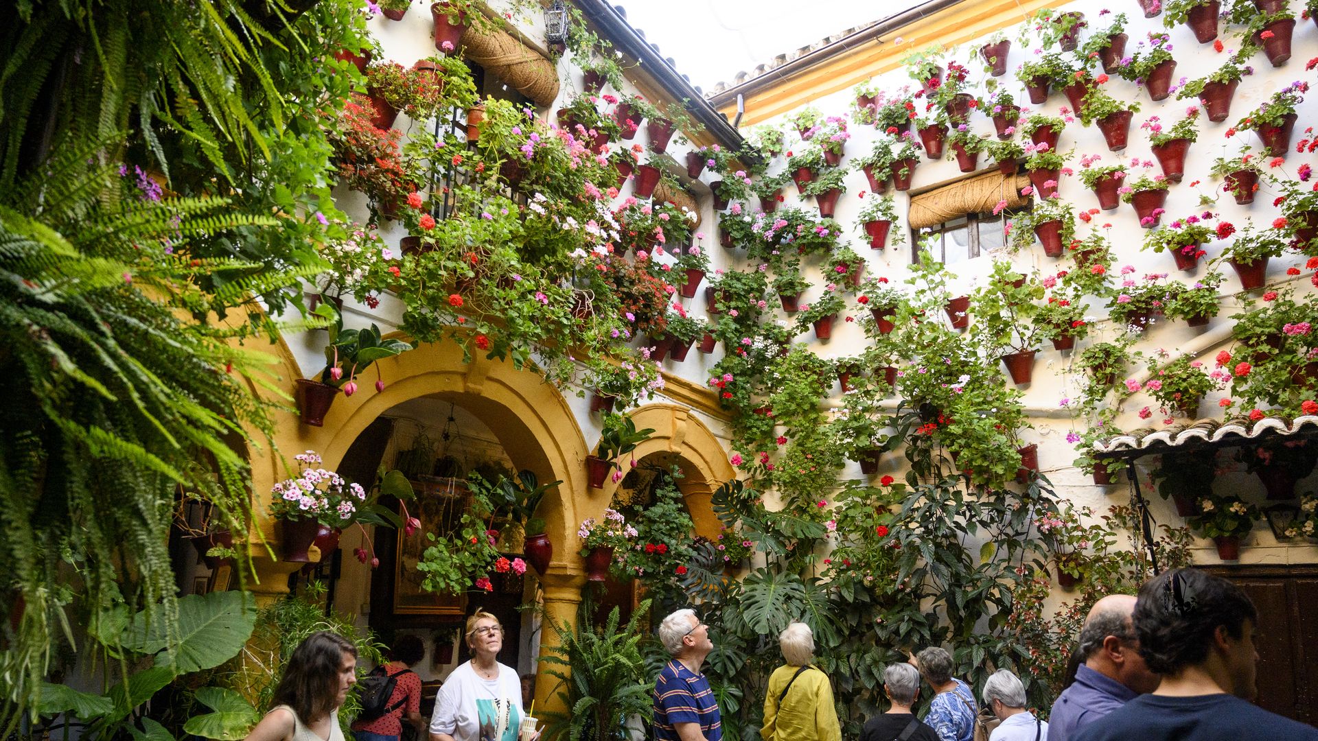 CORDOBA, SPAIN - MAY 10: Tourists visit the traditional Cordovan courtyard during the Patios Festival on May 10, 2024 in Cordoba, Spain. The Festival de los Patios Cordobeses, Intangible Cultural Heritage, is held every year since 1921. These courtyards of Roman origin are shown by the neighbors of 