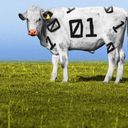 From barbed wire to data: How AI is changing ranching in the American West