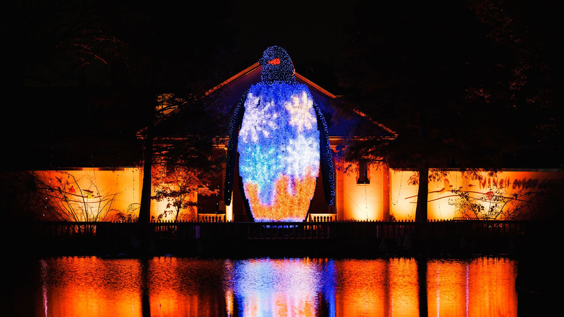 A light display of a massive pengin
