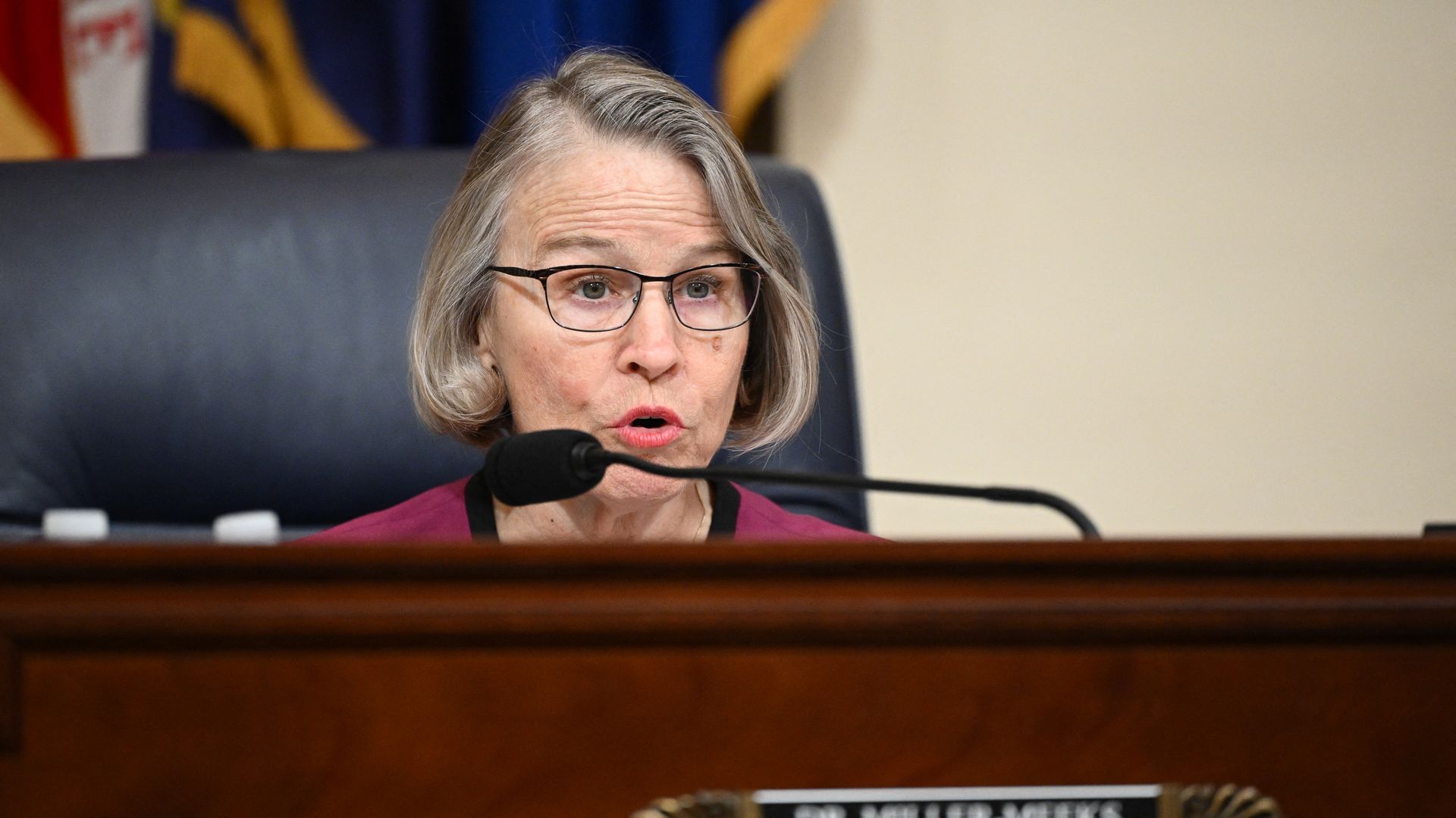 Rep. Mariannette Miller-Meeks