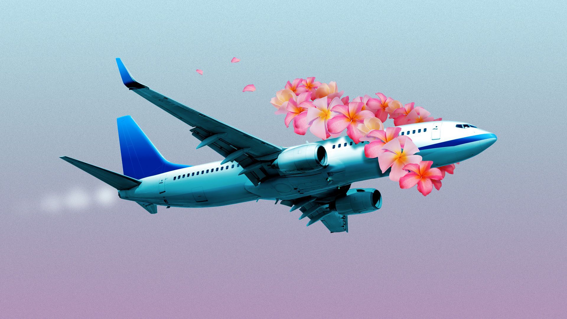 Illustration of a airplane wearing a flower lei 