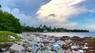 Plastic bottles pollute a coastline. 