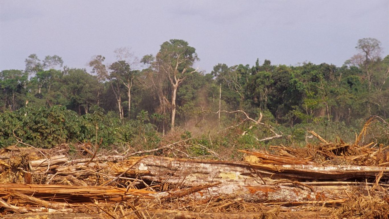 Deforestation and global warming. Леса Мадагаскара. Deforestation Fossil fuel Extraction overfishing.