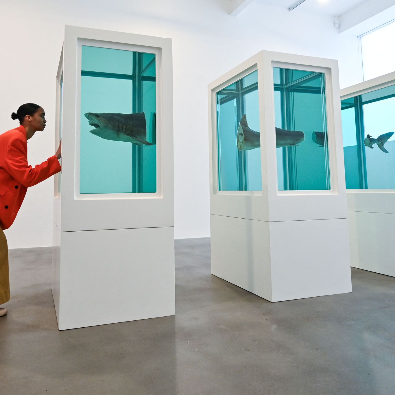 (大判ver)Damien Hirst 1711037392271.jpg