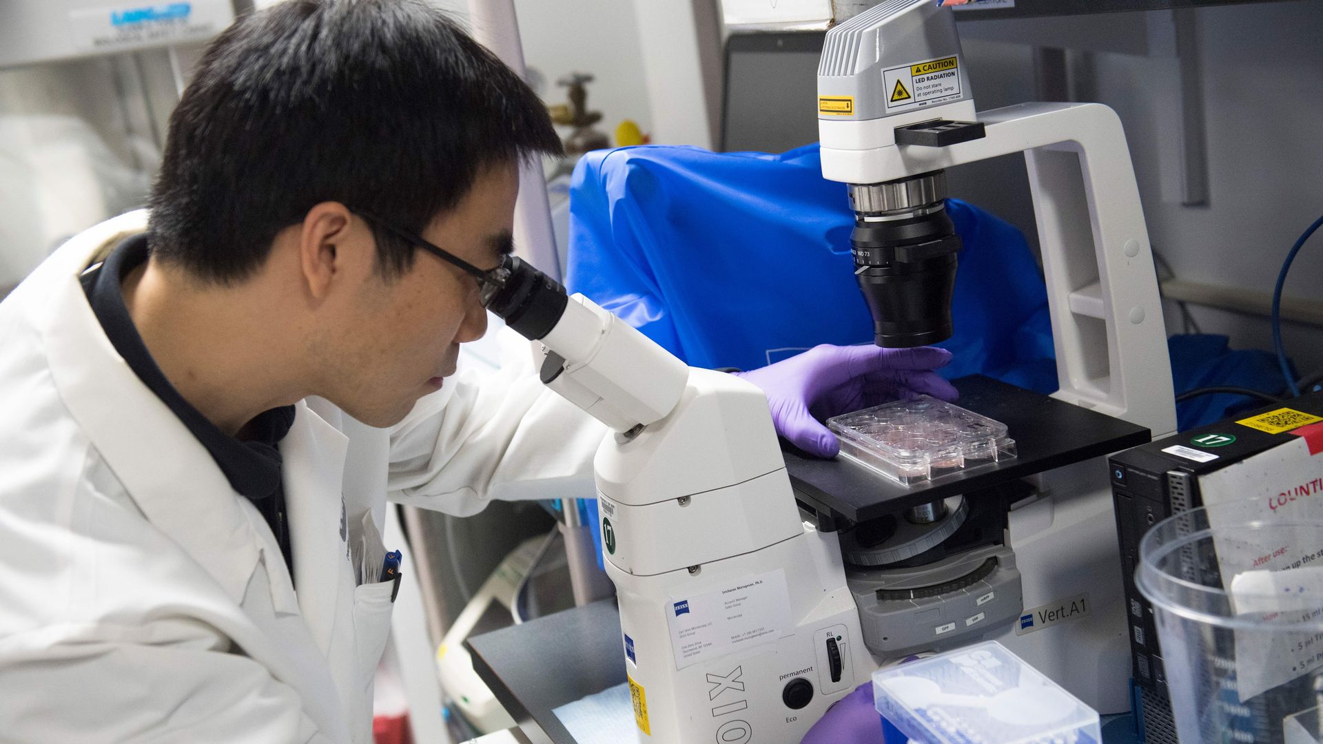 A biologist studies immune cells in a lab.