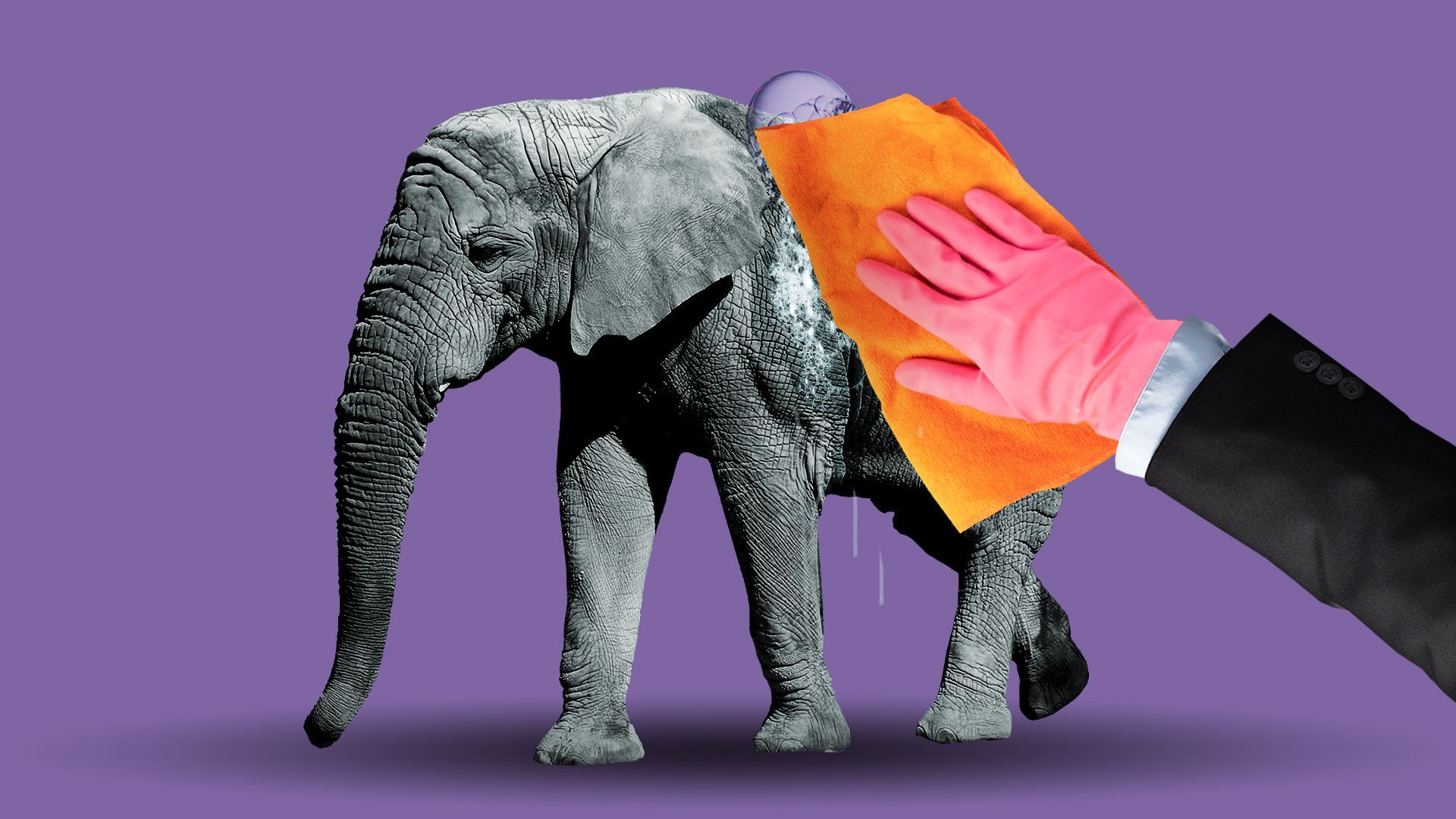 Illustration of a hand washing an elephant with soap and water