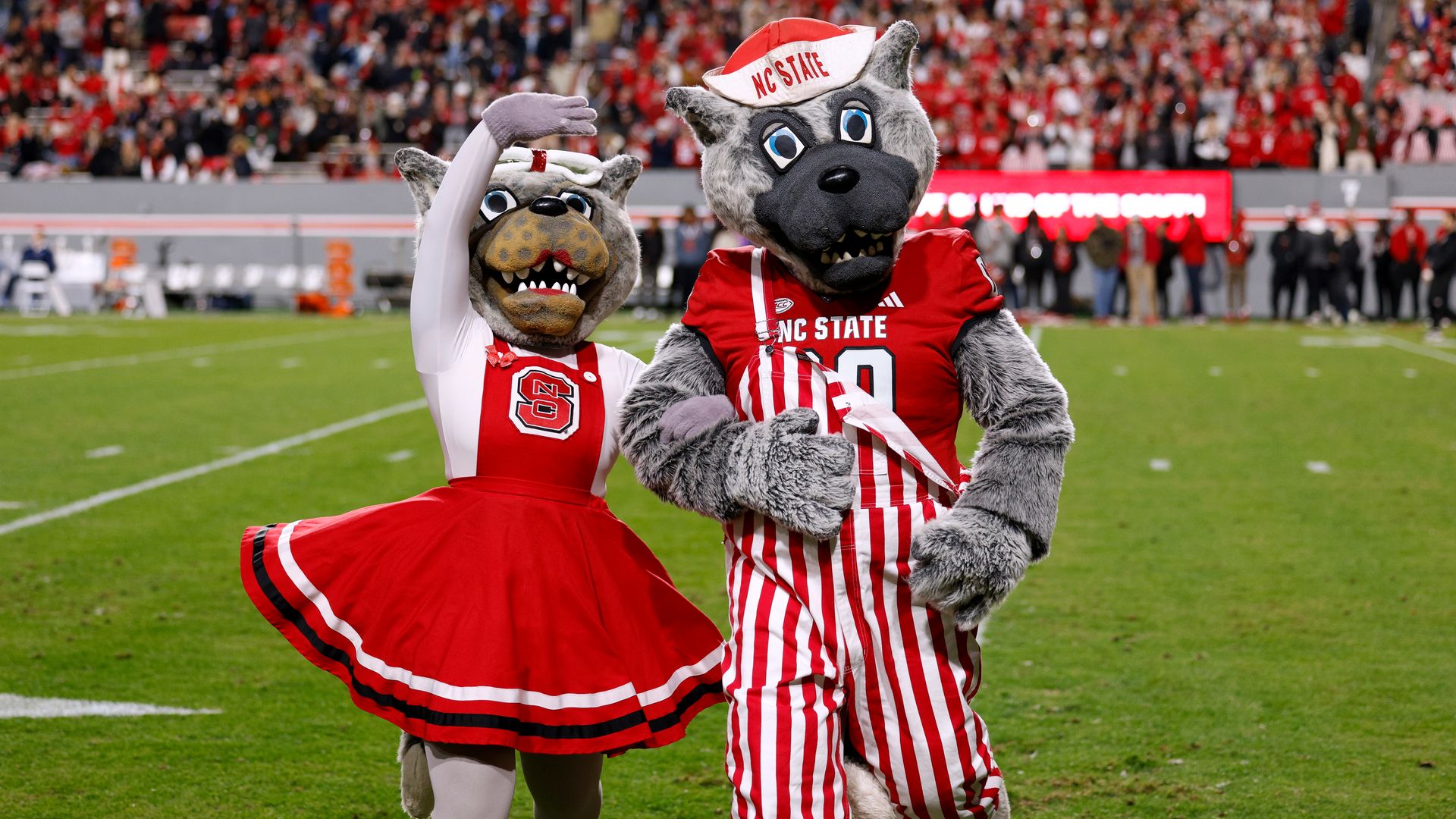 nc state mascots